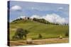 Europe, Italy, Tuscany, Landscape in Le Crete-Gerhard Wild-Stretched Canvas