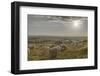 Europe, Italy, Tuscany, Near Siena, Le Crete, Flock of Sheep, Back Light Photography-Gerhard Wild-Framed Photographic Print