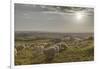 Europe, Italy, Tuscany, Near Siena, Le Crete, Flock of Sheep, Back Light Photography-Gerhard Wild-Framed Photographic Print