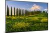 Europe. Italy. Tuscany. Siena District. Orcia Valley. Covili farmhouse at sunset-ClickAlps-Mounted Photographic Print