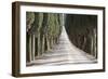 Europe, Italy, Tuscany, Tree Lined Road-John Ford-Framed Photographic Print