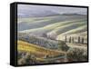Europe, Italy, Tuscany. Tuscan Landscape in Autumn-Julie Eggers-Framed Stretched Canvas