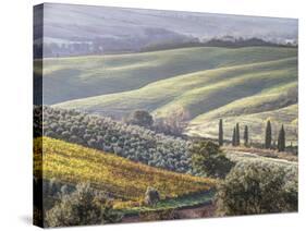 Europe, Italy, Tuscany. Tuscan Landscape in Autumn-Julie Eggers-Stretched Canvas