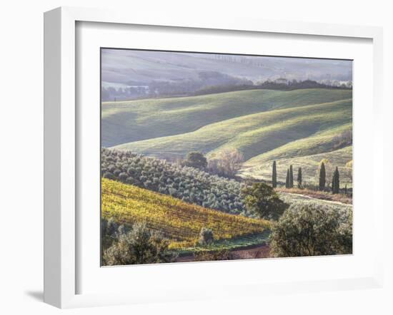 Europe, Italy, Tuscany. Tuscan Landscape in Autumn-Julie Eggers-Framed Premium Photographic Print