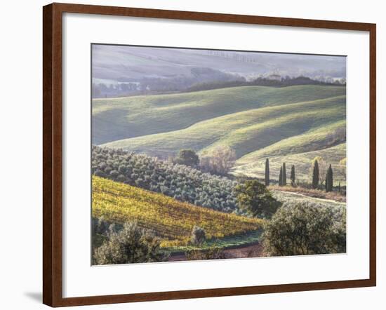 Europe, Italy, Tuscany. Tuscan Landscape in Autumn-Julie Eggers-Framed Photographic Print