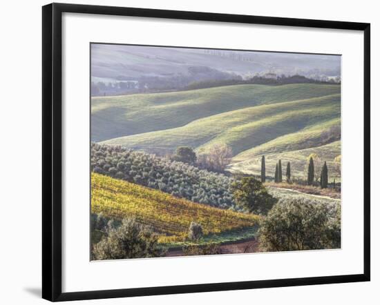 Europe, Italy, Tuscany. Tuscan Landscape in Autumn-Julie Eggers-Framed Photographic Print