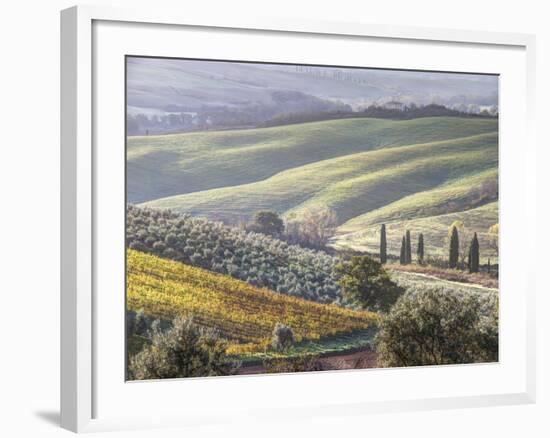 Europe, Italy, Tuscany. Tuscan Landscape in Autumn-Julie Eggers-Framed Photographic Print