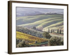 Europe, Italy, Tuscany. Tuscan Landscape in Autumn-Julie Eggers-Framed Photographic Print