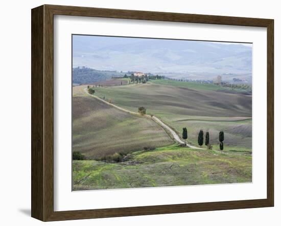 Europe, Italy, Tuscany. Tuscan Landscape in Autumn-Julie Eggers-Framed Premium Photographic Print