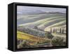 Europe, Italy, Tuscany. Tuscan Landscape in Autumn-Julie Eggers-Framed Stretched Canvas