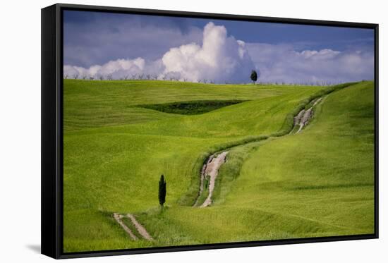 Europe, Italy, Tuscany, Val d Orcia. Cypress tree and winding road in farmland hills.-Jaynes Gallery-Framed Stretched Canvas