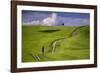 Europe, Italy, Tuscany, Val d Orcia. Cypress tree and winding road in farmland hills.-Jaynes Gallery-Framed Photographic Print