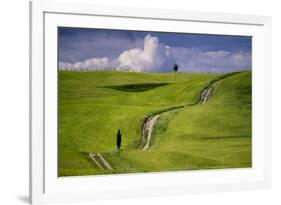 Europe, Italy, Tuscany, Val d Orcia. Cypress tree and winding road in farmland hills.-Jaynes Gallery-Framed Photographic Print