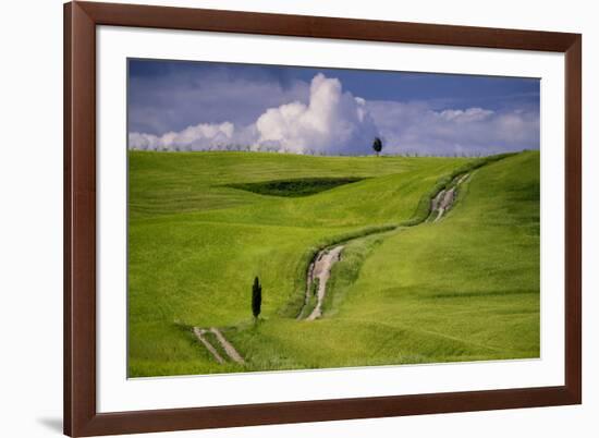 Europe, Italy, Tuscany, Val d Orcia. Cypress tree and winding road in farmland hills.-Jaynes Gallery-Framed Photographic Print