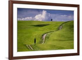 Europe, Italy, Tuscany, Val d Orcia. Cypress tree and winding road in farmland hills.-Jaynes Gallery-Framed Photographic Print