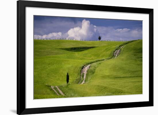 Europe, Italy, Tuscany, Val d Orcia. Cypress tree and winding road in farmland hills.-Jaynes Gallery-Framed Photographic Print