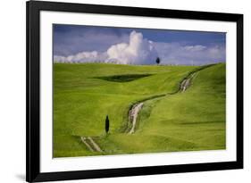 Europe, Italy, Tuscany, Val d Orcia. Cypress tree and winding road in farmland hills.-Jaynes Gallery-Framed Photographic Print