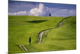 Europe, Italy, Tuscany, Val d Orcia. Cypress tree and winding road in farmland hills.-Jaynes Gallery-Mounted Photographic Print