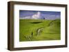 Europe, Italy, Tuscany, Val d Orcia. Cypress tree and winding road in farmland hills.-Jaynes Gallery-Framed Photographic Print