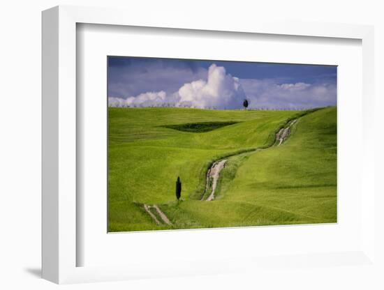 Europe, Italy, Tuscany, Val d Orcia. Cypress tree and winding road in farmland hills.-Jaynes Gallery-Framed Photographic Print