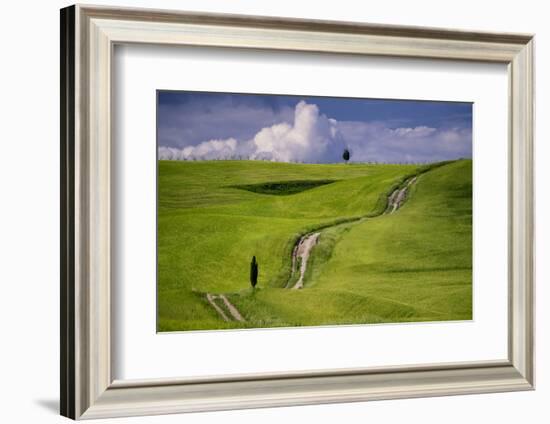 Europe, Italy, Tuscany, Val d Orcia. Cypress tree and winding road in farmland hills.-Jaynes Gallery-Framed Photographic Print