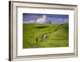 Europe, Italy, Tuscany, Val d Orcia. Cypress tree and winding road in farmland hills.-Jaynes Gallery-Framed Photographic Print