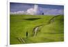 Europe, Italy, Tuscany, Val d Orcia. Cypress tree and winding road in farmland hills.-Jaynes Gallery-Framed Photographic Print