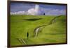 Europe, Italy, Tuscany, Val d Orcia. Cypress tree and winding road in farmland hills.-Jaynes Gallery-Framed Photographic Print