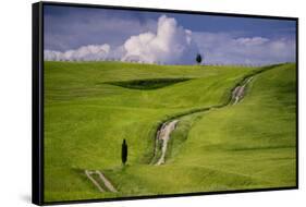 Europe, Italy, Tuscany, Val d Orcia. Cypress tree and winding road in farmland hills.-Jaynes Gallery-Framed Stretched Canvas