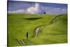 Europe, Italy, Tuscany, Val d Orcia. Cypress tree and winding road in farmland hills.-Jaynes Gallery-Stretched Canvas
