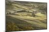 Europe, Italy, Tuscany, Val d'Orcia-John Ford-Mounted Photographic Print