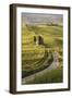 Europe, Italy, Tuscany, Val d'Orcia-John Ford-Framed Photographic Print