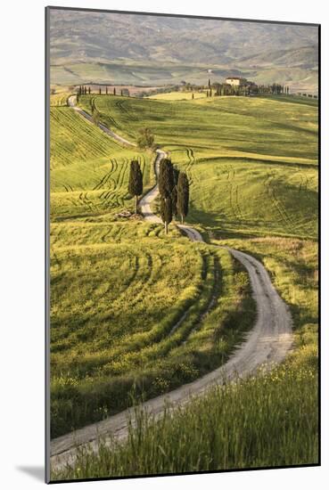 Europe, Italy, Tuscany, Val d'Orcia-John Ford-Mounted Photographic Print
