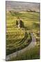 Europe, Italy, Tuscany, Val d'Orcia-John Ford-Mounted Photographic Print