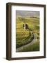 Europe, Italy, Tuscany, Val d'Orcia-John Ford-Framed Photographic Print