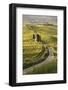 Europe, Italy, Tuscany, Val d'Orcia-John Ford-Framed Photographic Print