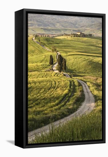 Europe, Italy, Tuscany, Val d'Orcia-John Ford-Framed Stretched Canvas