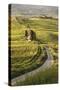 Europe, Italy, Tuscany, Val d'Orcia-John Ford-Stretched Canvas