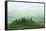 Europe, Italy, Tuscany. Villa in Countryside-Jaynes Gallery-Framed Stretched Canvas