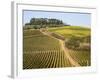 Europe, Italy, Tuscany. Vineyard in the Chianti Region of Tuscany-Julie Eggers-Framed Photographic Print