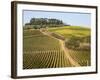 Europe, Italy, Tuscany. Vineyard in the Chianti Region of Tuscany-Julie Eggers-Framed Photographic Print