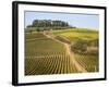 Europe, Italy, Tuscany. Vineyard in the Chianti Region of Tuscany-Julie Eggers-Framed Photographic Print