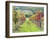 Europe, Italy, Tuscany. Vineyard in the Chianti Region of Tuscany-Julie Eggers-Framed Photographic Print