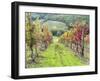 Europe, Italy, Tuscany. Vineyard in the Chianti Region of Tuscany-Julie Eggers-Framed Photographic Print