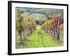 Europe, Italy, Tuscany. Vineyard in the Chianti Region of Tuscany-Julie Eggers-Framed Photographic Print