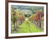 Europe, Italy, Tuscany. Vineyard in the Chianti Region of Tuscany-Julie Eggers-Framed Photographic Print