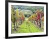 Europe, Italy, Tuscany. Vineyard in the Chianti Region of Tuscany-Julie Eggers-Framed Photographic Print