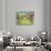 Europe, Italy, Tuscany. Vineyard in the Chianti Region of Tuscany-Julie Eggers-Photographic Print displayed on a wall