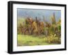 Europe, Italy, Tuscany. Vineyard in the Chianti Region of Tuscany-Julie Eggers-Framed Premium Photographic Print