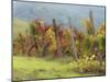 Europe, Italy, Tuscany. Vineyard in the Chianti Region of Tuscany-Julie Eggers-Mounted Premium Photographic Print